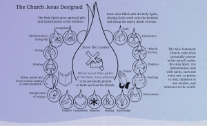 the church Jesus designed